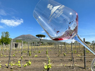 The Lowdown on Wine Sediment - Part 1