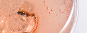 A Brief History of Bubbles